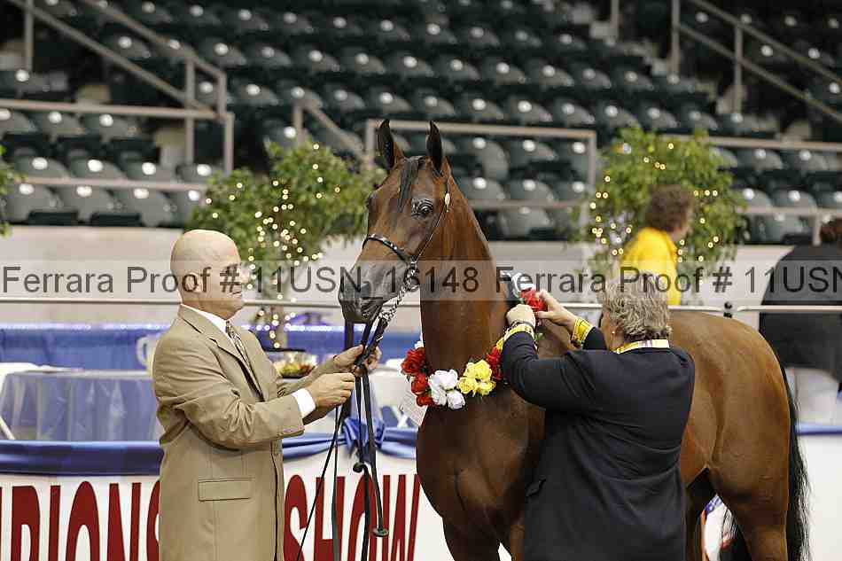 Proof 11usn_16148