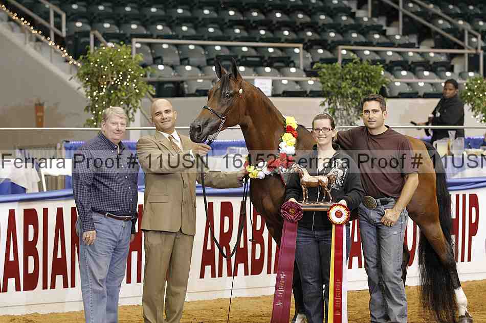 Proof 11usn_16152