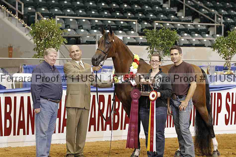 Proof 11usn_16154