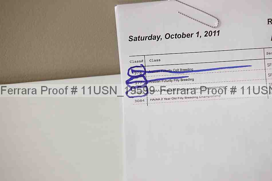 Proof 11usn_19599