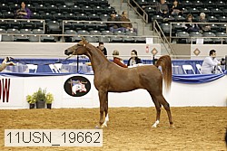 11usn_19662 proof