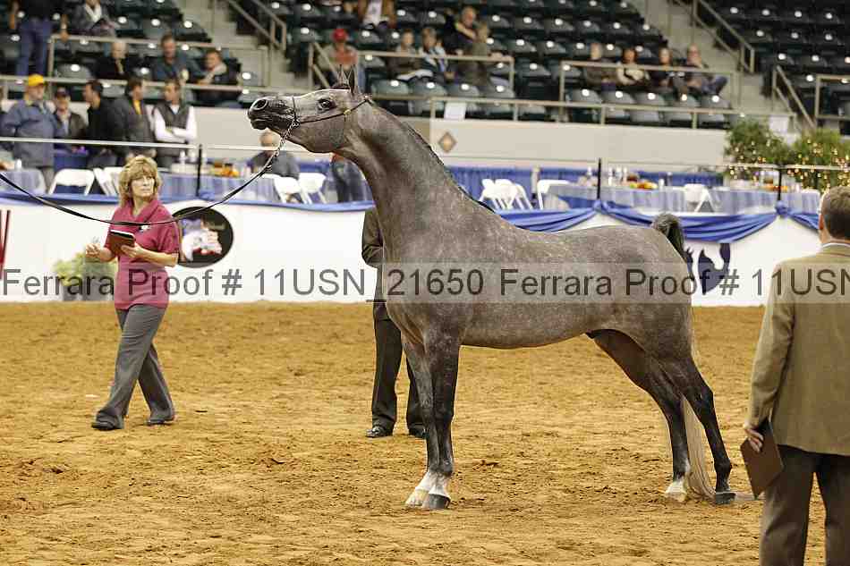 Proof 11usn_21650