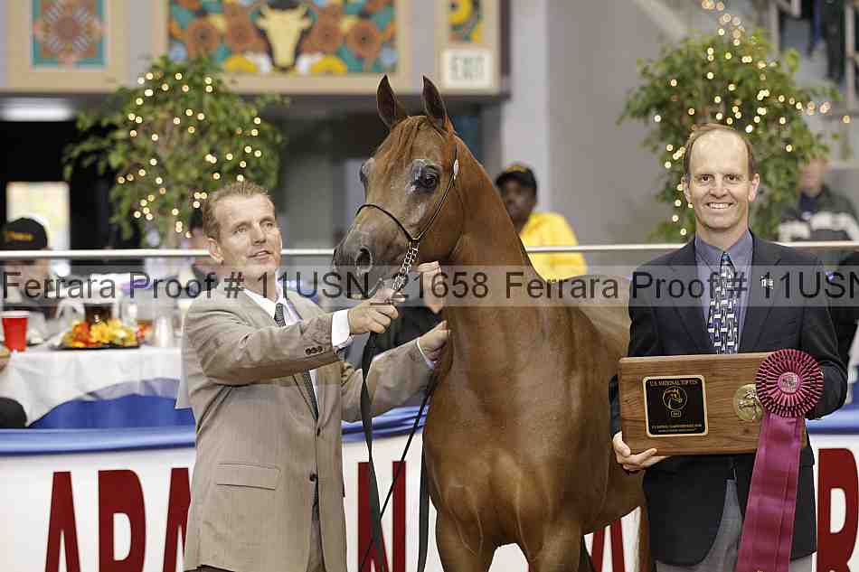 Proof 11usn_21658