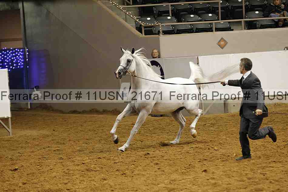 Proof 11usn_21671