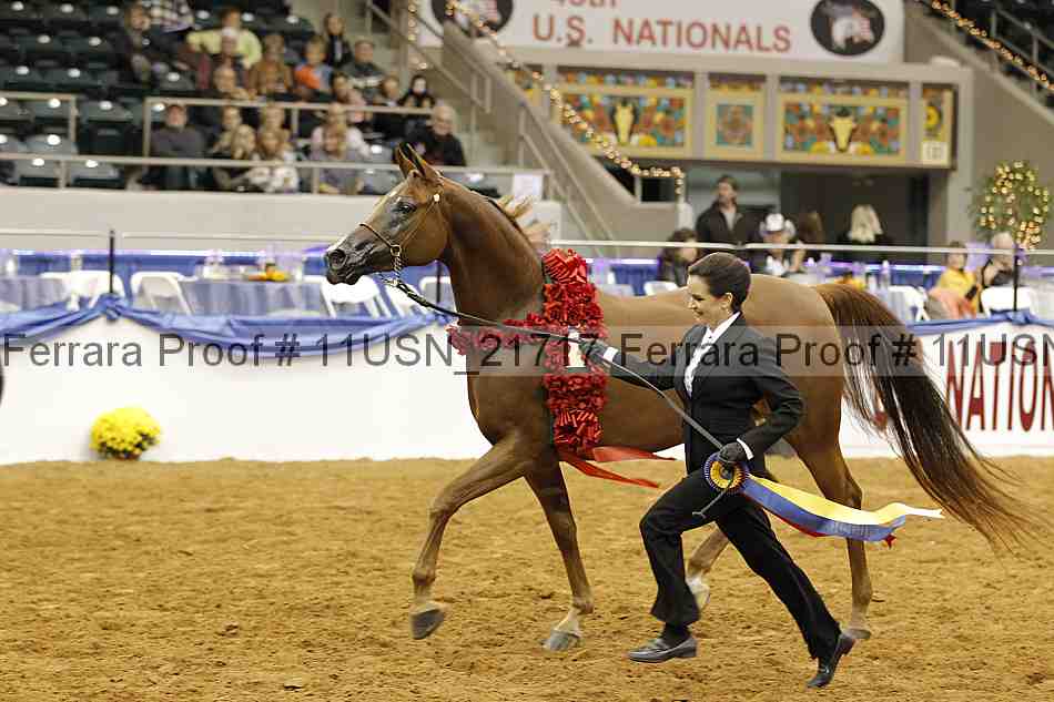 Proof 11usn_21717