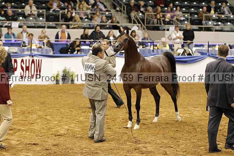 Proof 11usn_24159