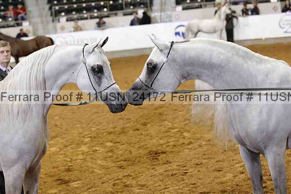 Proof 11usn_24172