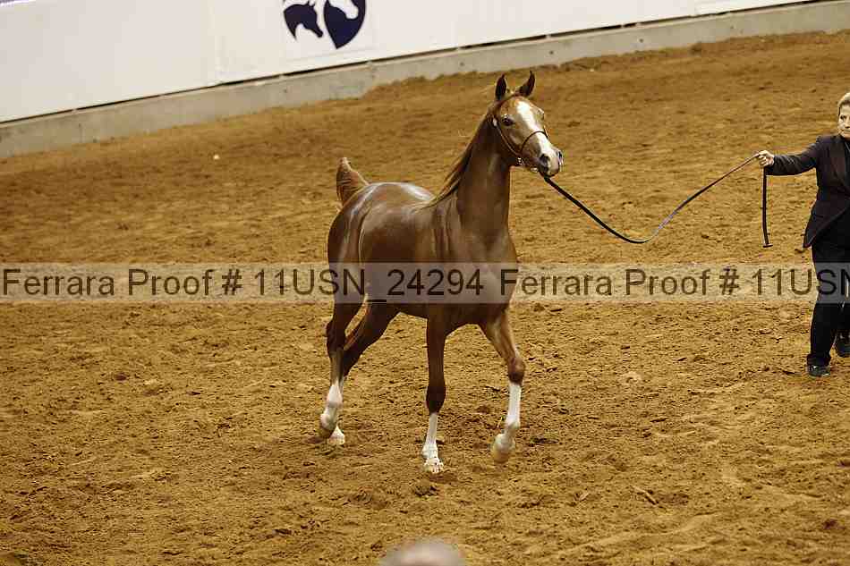 Proof 11usn_24294
