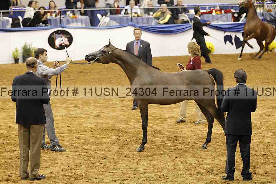 Proof 11usn_24304