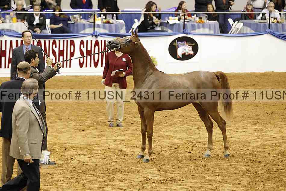 Proof 11usn_24311