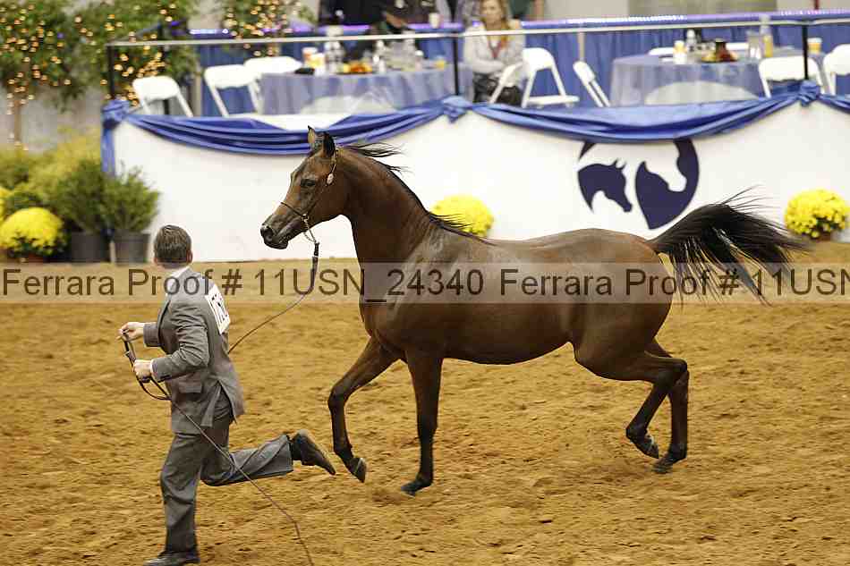 Proof 11usn_24340