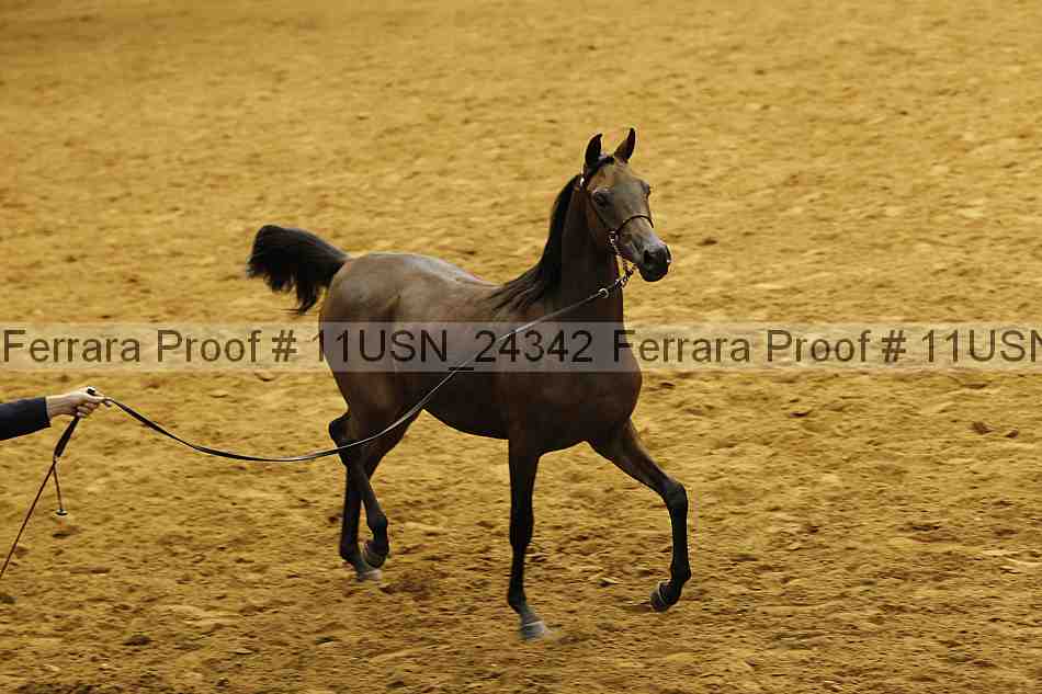 Proof 11usn_24342