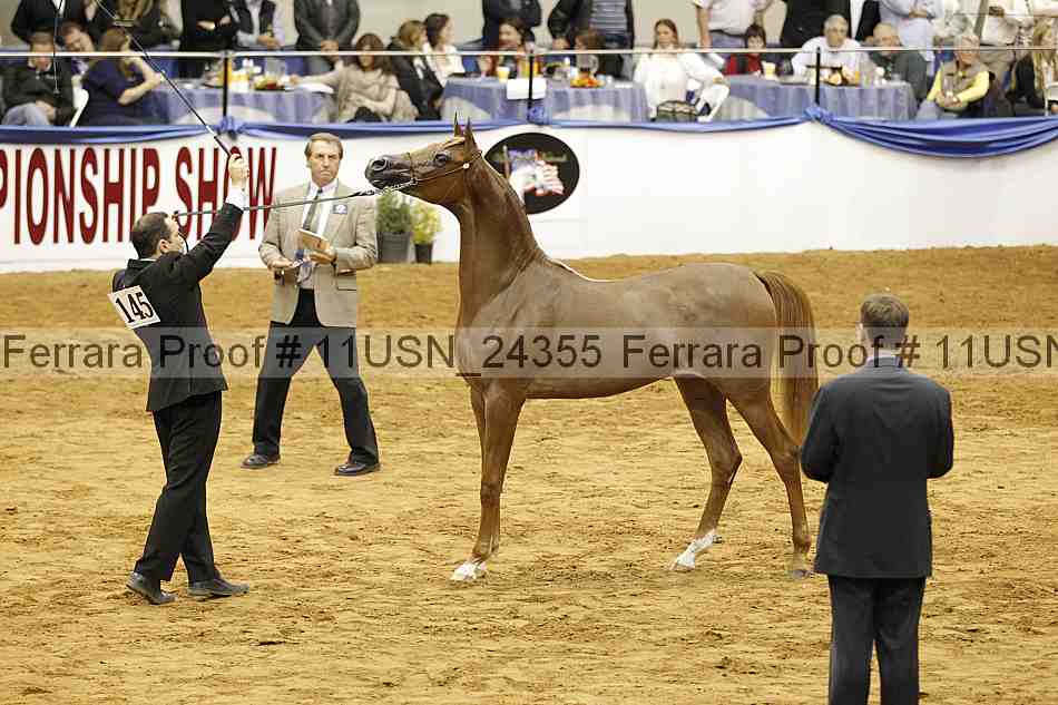 Proof 11usn_24355