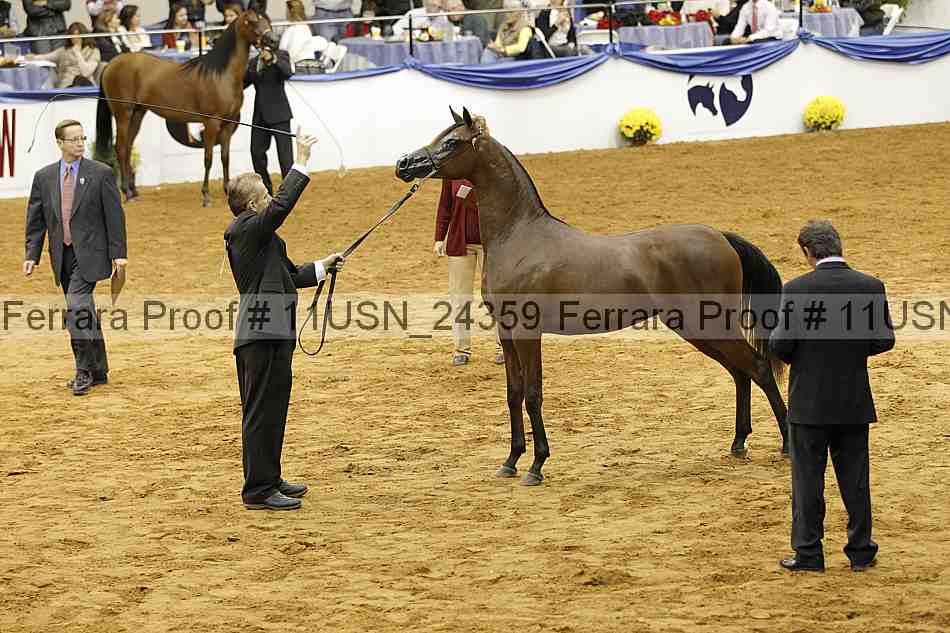 Proof 11usn_24359