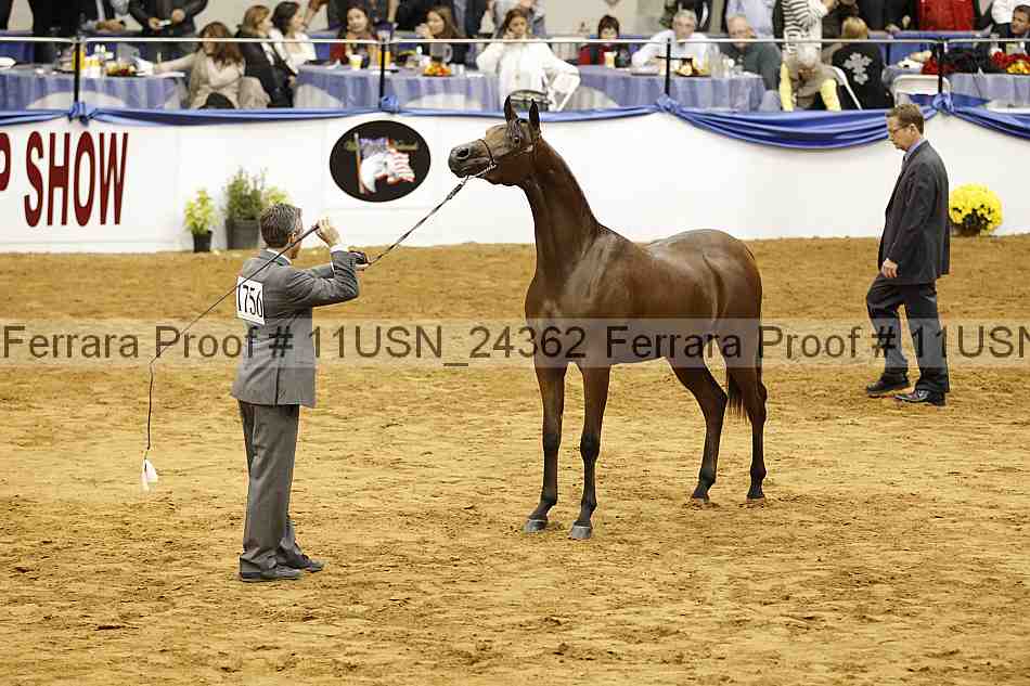 Proof 11usn_24362