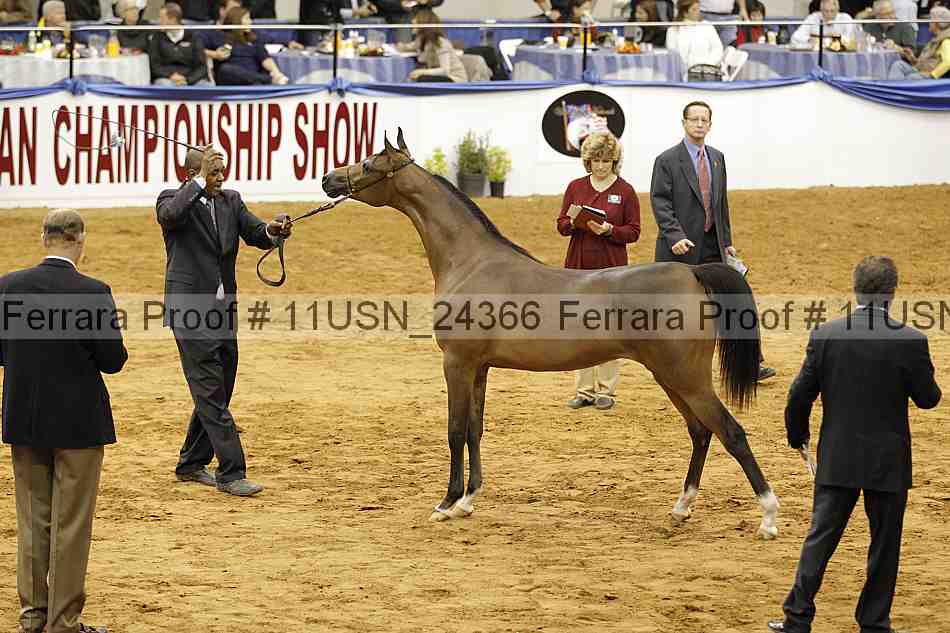Proof 11usn_24366