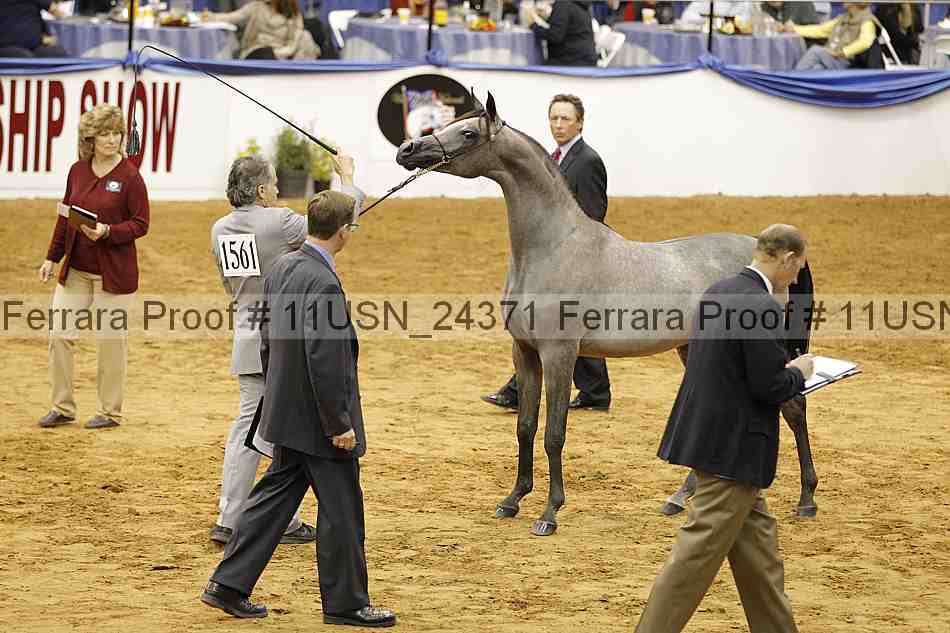 Proof 11usn_24371