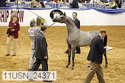 11usn_24371 proof