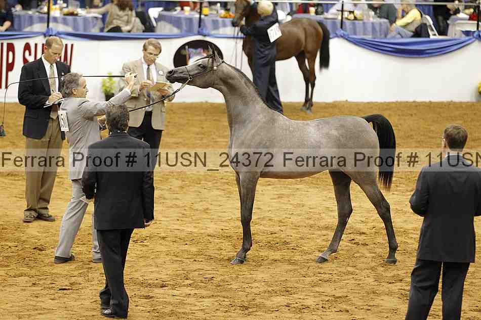 Proof 11usn_24372