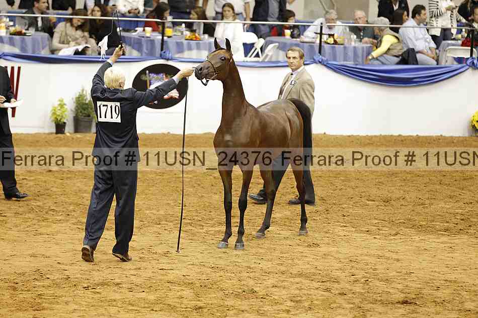 Proof 11usn_24376