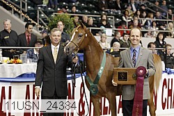11usn_24384 proof