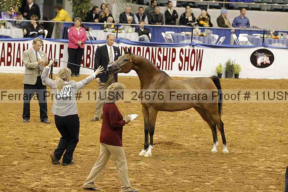Proof 11usn_24676