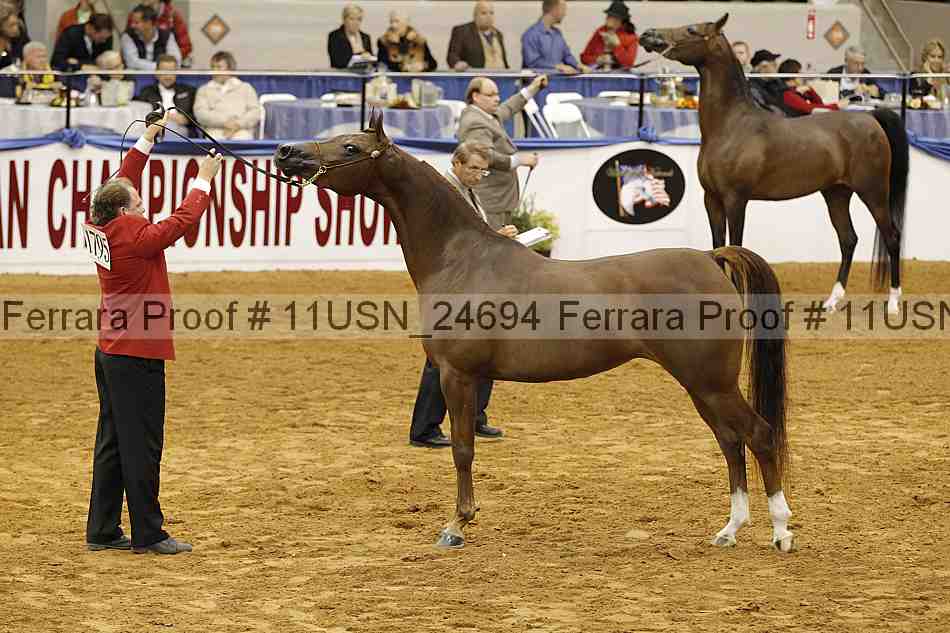 Proof 11usn_24694