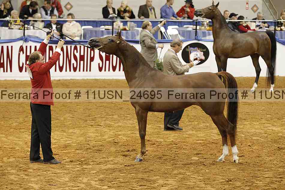 Proof 11usn_24695