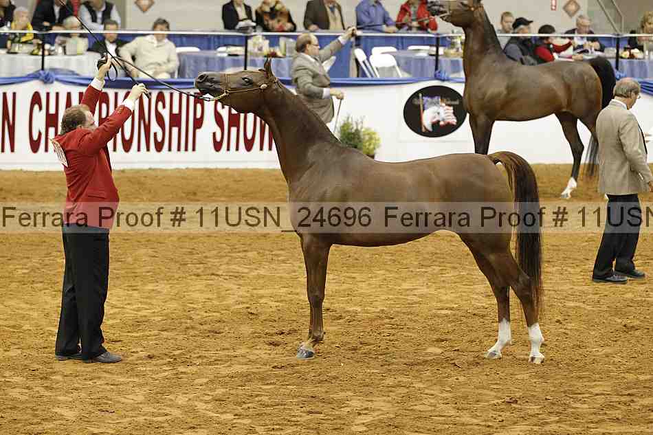Proof 11usn_24696