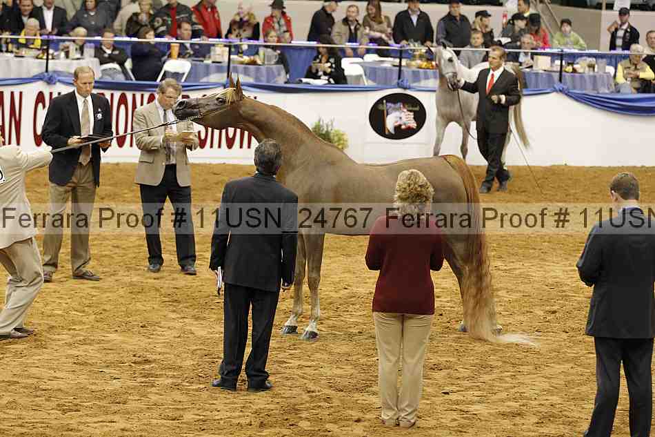 Proof 11usn_24767