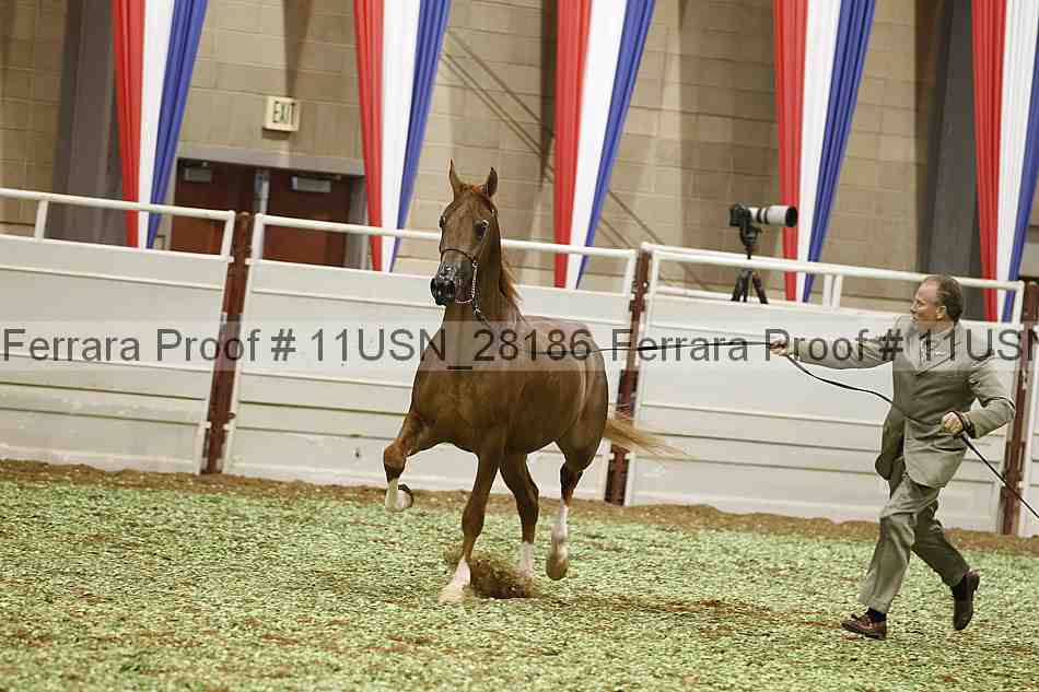 Proof 11usn_28186