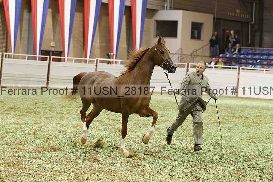 Proof 11usn_28187