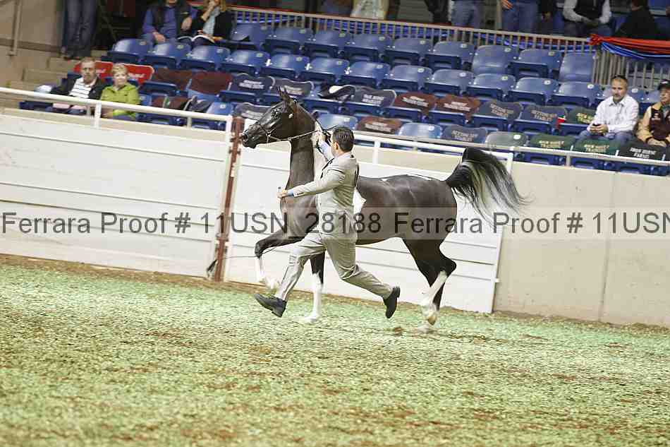 Proof 11usn_28188