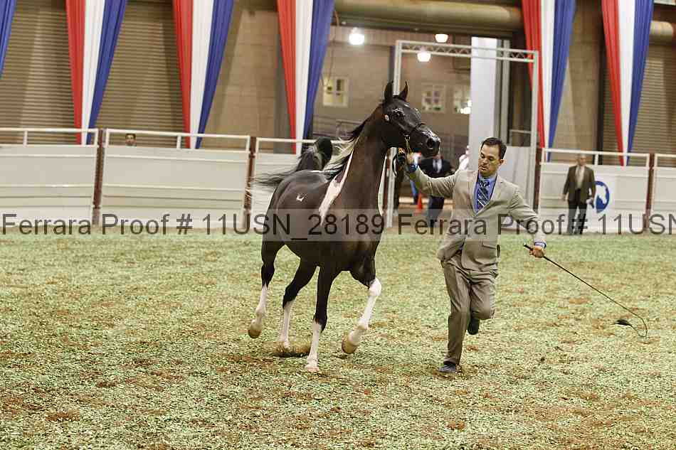 Proof 11usn_28189