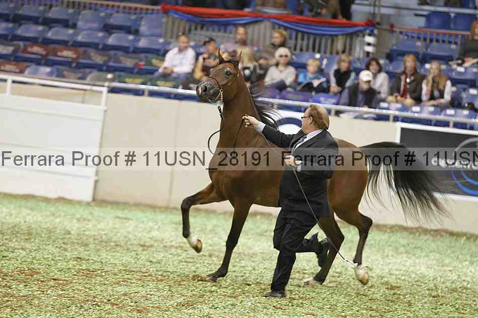 Proof 11usn_28191