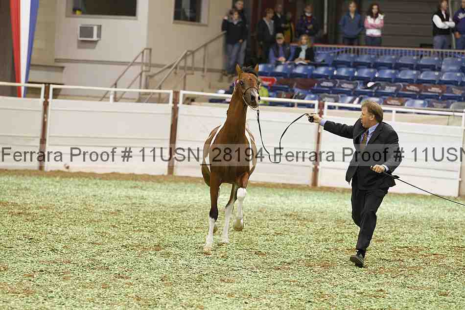Proof 11usn_28194