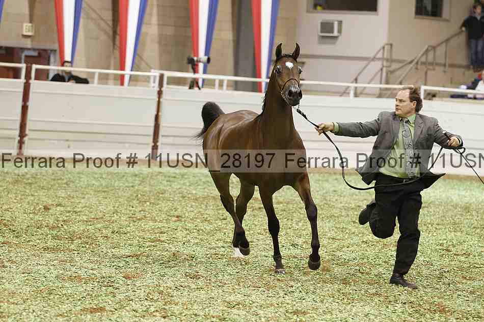 Proof 11usn_28197