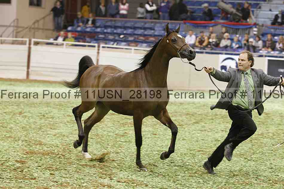 Proof 11usn_28198