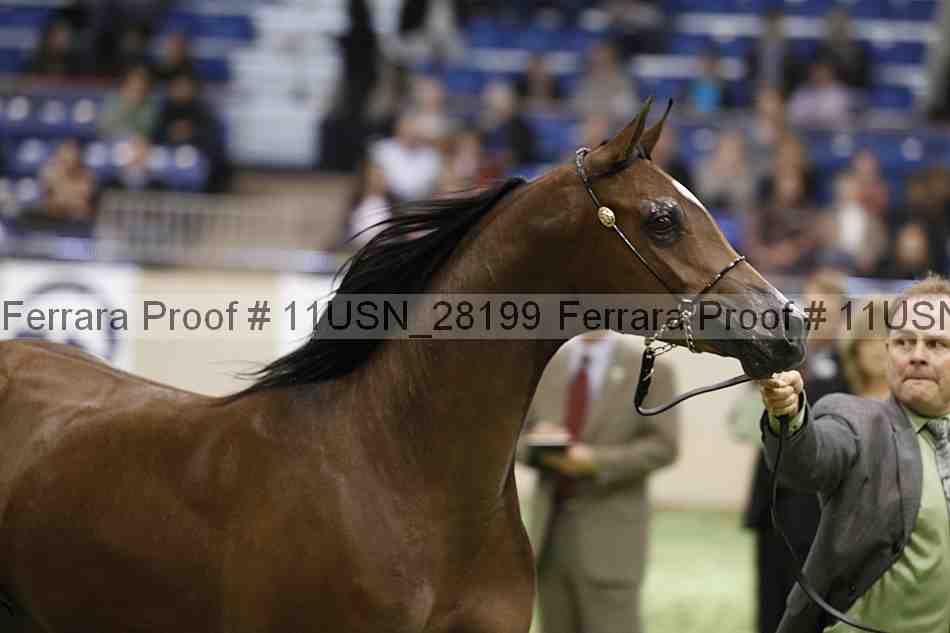 Proof 11usn_28199