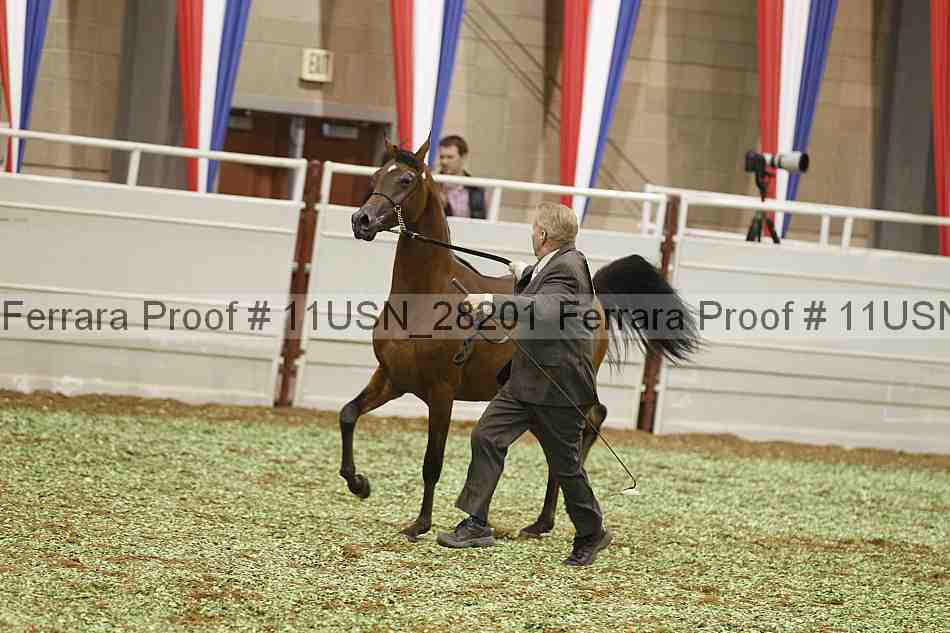Proof 11usn_28201