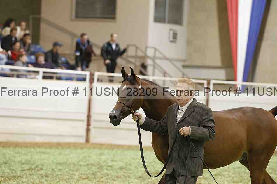Proof 11usn_28209