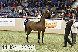 11usn_28230 proof