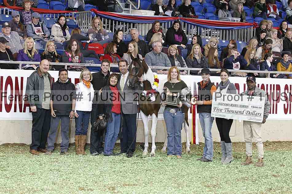 Proof 11usn_28270