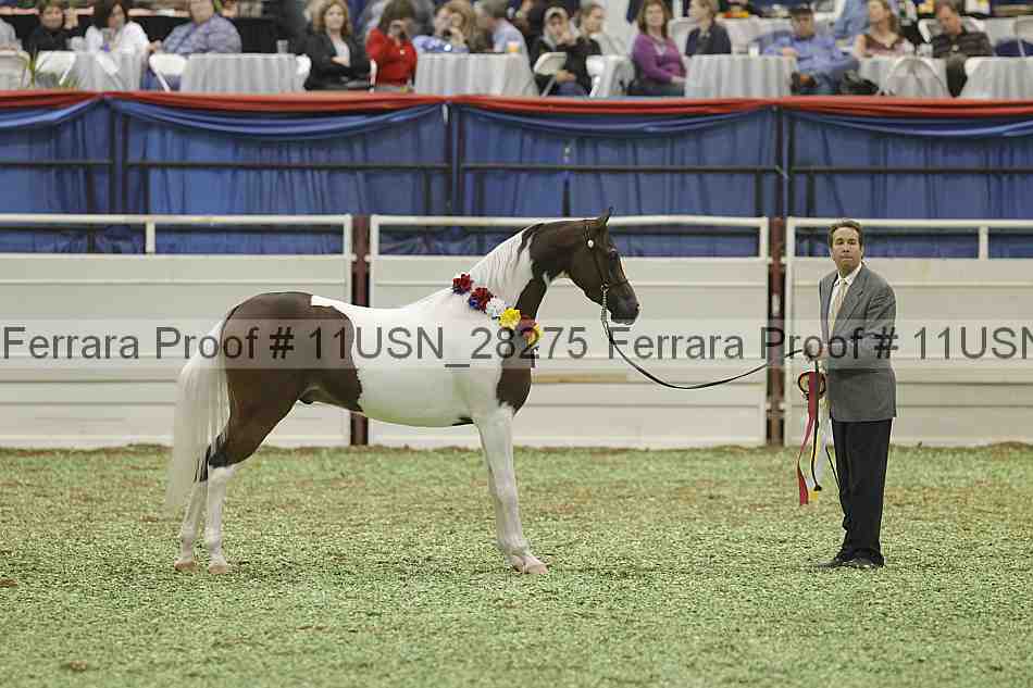 Proof 11usn_28275