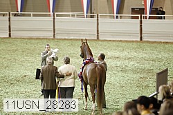 11usn_28283 proof