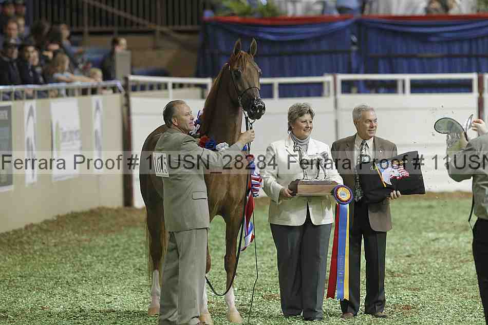 Proof 11usn_28284