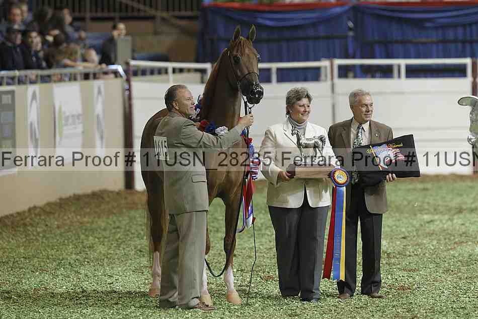 Proof 11usn_28285