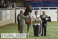 11usn_28285 proof
