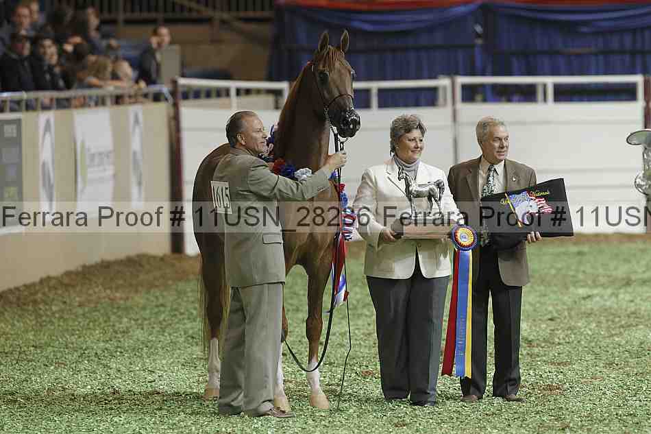 Proof 11usn_28286