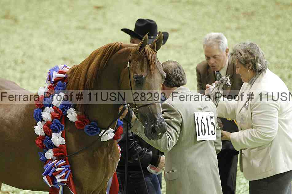 Proof 11usn_28293